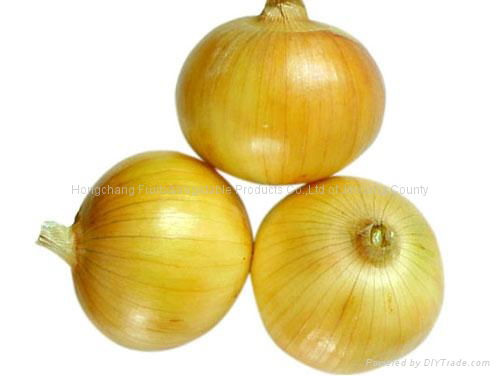 Onion 5