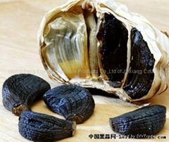 Black garlic