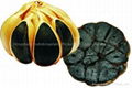 Black garlic 3