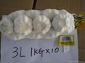 Pure white garlic 1KG 2