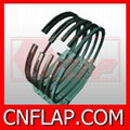 piston ring