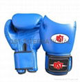 Boxing Gloves 2