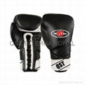professional boxing gloves 1