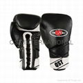 professional boxing gloves