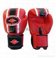 professional boxing gloves 2