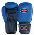 professional boxing gloves 3