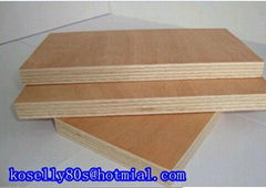 commercial plywood