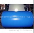 Prepainted Steel Coils 1