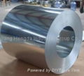 GI Galvanized Steel Coils