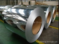 Hot Dipped Galvanized Steel Coils