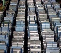 Galvanized steel coil