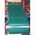 PPGI Prepainted Steel Coils