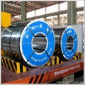 Hot Dipped Galvanized Steel Coils 1