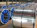 Galvanized steel coil 3