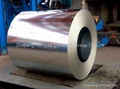 Galvanized steel coil 4