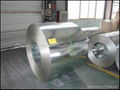 Galvanized steel coil 5