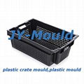 crate plastic mould 2