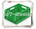 crate plastic mould 3