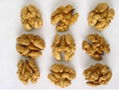 Walnut Kernel