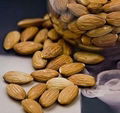 Almond Kernel 1