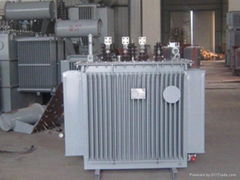 Transformer,oil immersed transformer,