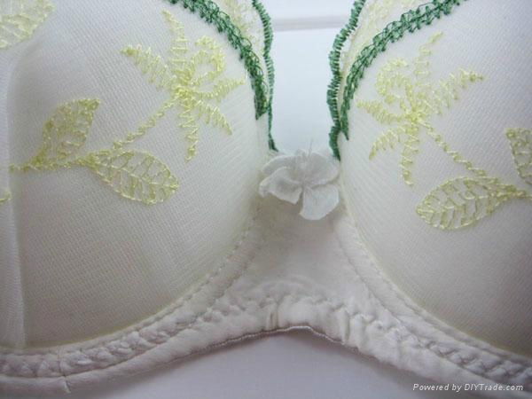 ladies cheap bra 2