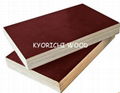 high quality Film faced plywood 1