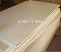 high quality poplar plywood 1