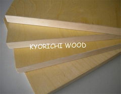 Kyorichi Birch UV Coating Plywood 