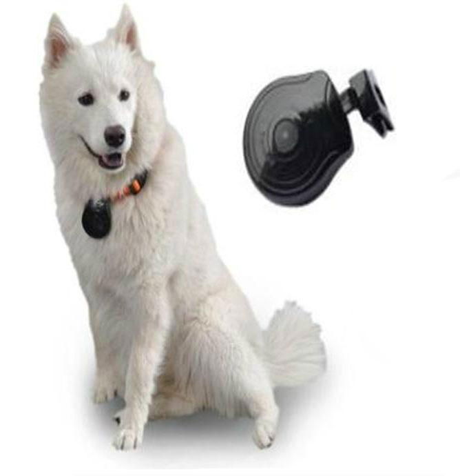 USB 2.0 Mini LCD Digital Pet Eye View Camera Dog Cat Collar Video Camera/ DVR FB188 (Hong