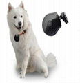 USB 2.0 Mini LCD Digital Pet Eye View Camera Dog Cat Collar Video Camera/ DVR 1