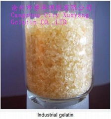 industrial gelatin 