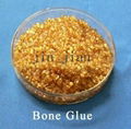 bone glue 1