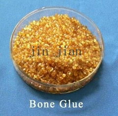 bone glue