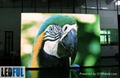 P10mm Outdoor Full Color LED Display High Quality with Competitve Price 2