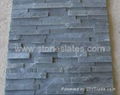 Culture Slate, Wall Panel, Stone Veneer,