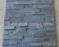 Culture Slate, Wall Panel, Stone Veneer, Ledgestone,Wall Slate 1