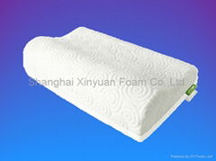 Memory Foam Pillow