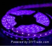 Purple 3528 LED strips with Waterproof 