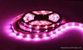 Purple 3528 LED strips with Waterproof  2