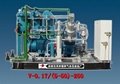 V-0.17/(5-50)-250天然氣壓縮機 1