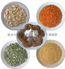 Handan Green and Healthy Dehydrated Vegetable Food Co.,Ltd