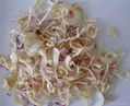 dehydrated onion slice 2