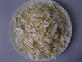 dehydrated onion slice 5