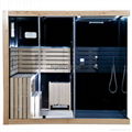 New Design Sauna / Shower Combinated  1