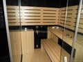 Newest Sauna Room / Sauna Steam  4