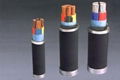 pvc insulated cable 2