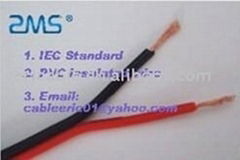 450/750Vcopper electric wire