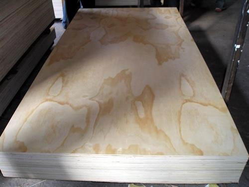 good pine plywood for furniture or flooring 2