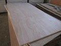 BB/CC grade okoume plywood for marine or